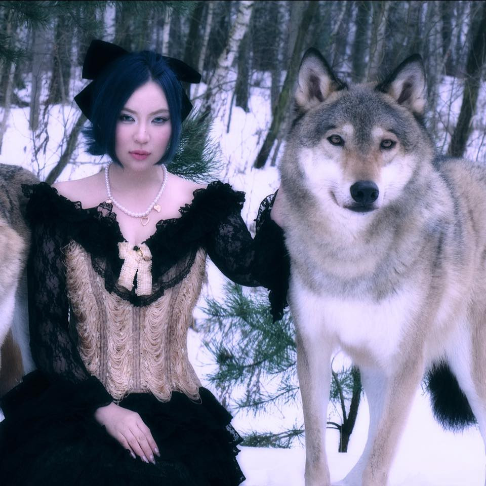 Hai chú chó Afghan Hound nổi tiếng thế giới cùng một bé Bichon Frise của cô không chỉ là vật nuôi mà còn là "ngôi sao" trong các chiến dịch quảng cáo lớn.