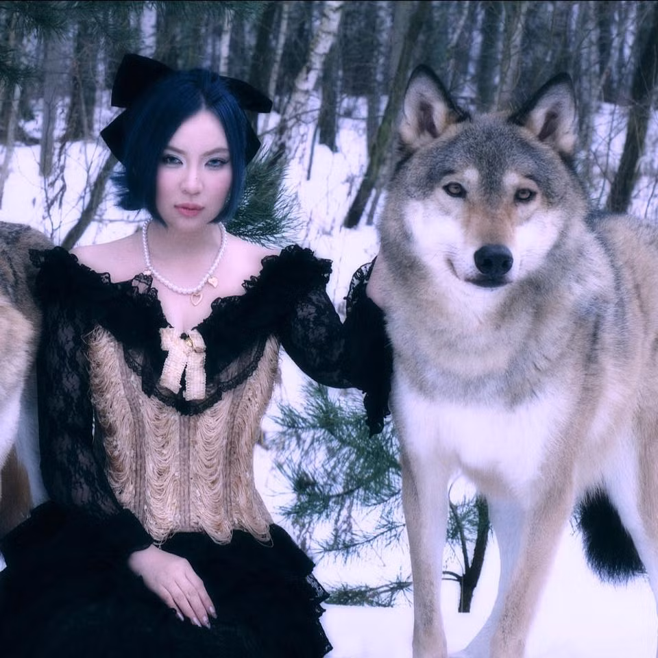 Hai chú chó Afghan Hound nổi tiếng thế giới cùng một bé Bichon Frise của cô không chỉ là vật nuôi mà còn là "ngôi sao" trong các chiến dịch quảng cáo lớn.