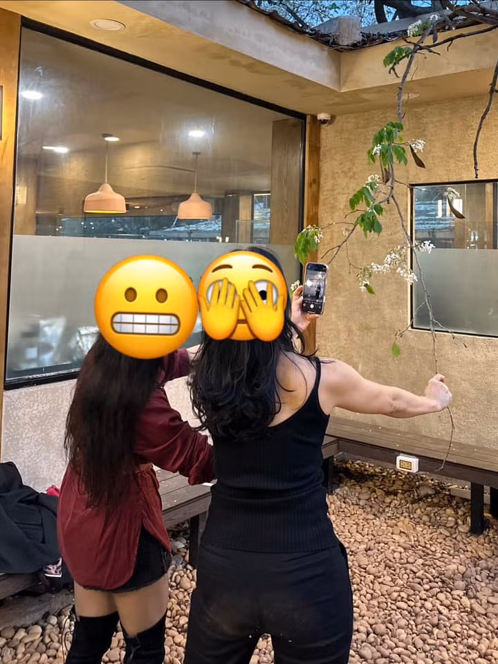 Những ngày gần đây, cây hoa sưa nằm trong khuôn viên một quán cà phê nằm nép mình bên Bảo tàng Hồ Chí Minh đang là tọa độ check-in hot nhất nhì Hà Nội. Rất nhiều bạn trẻ đã tìm đến đây để có những bức ảnh sống ảo chụp cùng loài hoa này.(Ảnh: Chuyện của Hà Nội)