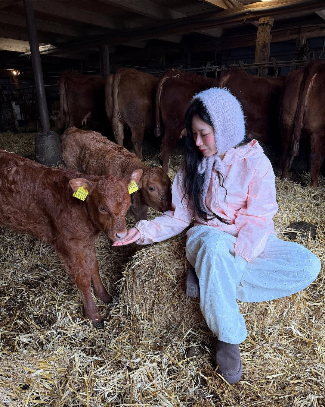 Nhiều người hâm mộ không tiếc lời khen ngợi vẻ đẹp mộc mạc và phong cách thòi trang nhẹ nhàng, mang lại cảm giác dễ chịu của cô nàng.