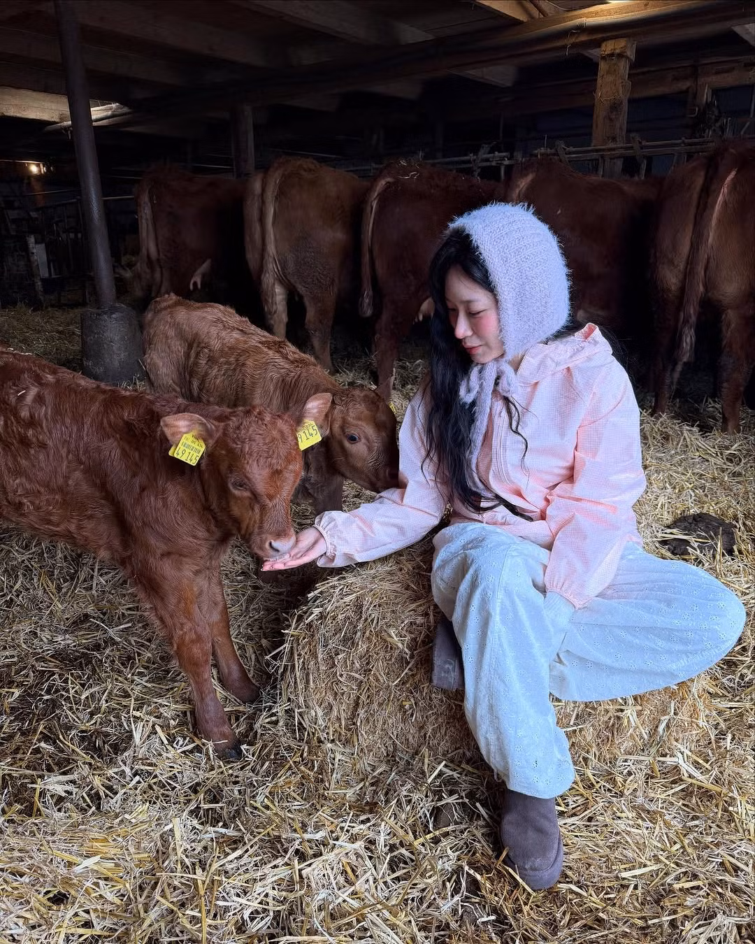 Nhiều người hâm mộ không tiếc lời khen ngợi vẻ đẹp mộc mạc và phong cách thòi trang nhẹ nhàng, mang lại cảm giác dễ chịu của cô nàng.