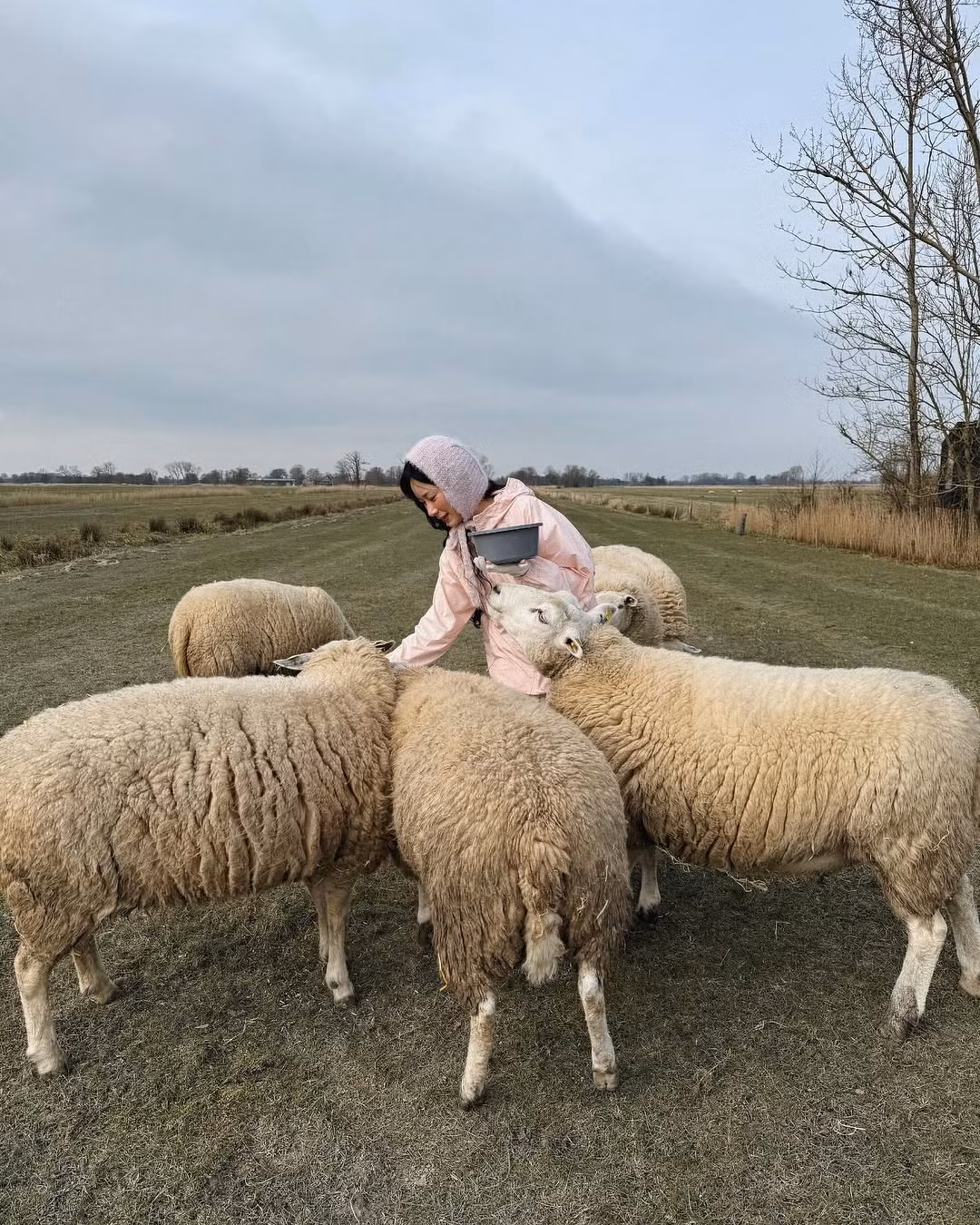 Trong những bức ảnh này, cô diện trang phục giản dị, hòa mình cùng đàn cừu trên cánh đồng xanh mướt, tạo nên khung cảnh bình yên và thơ mộng.