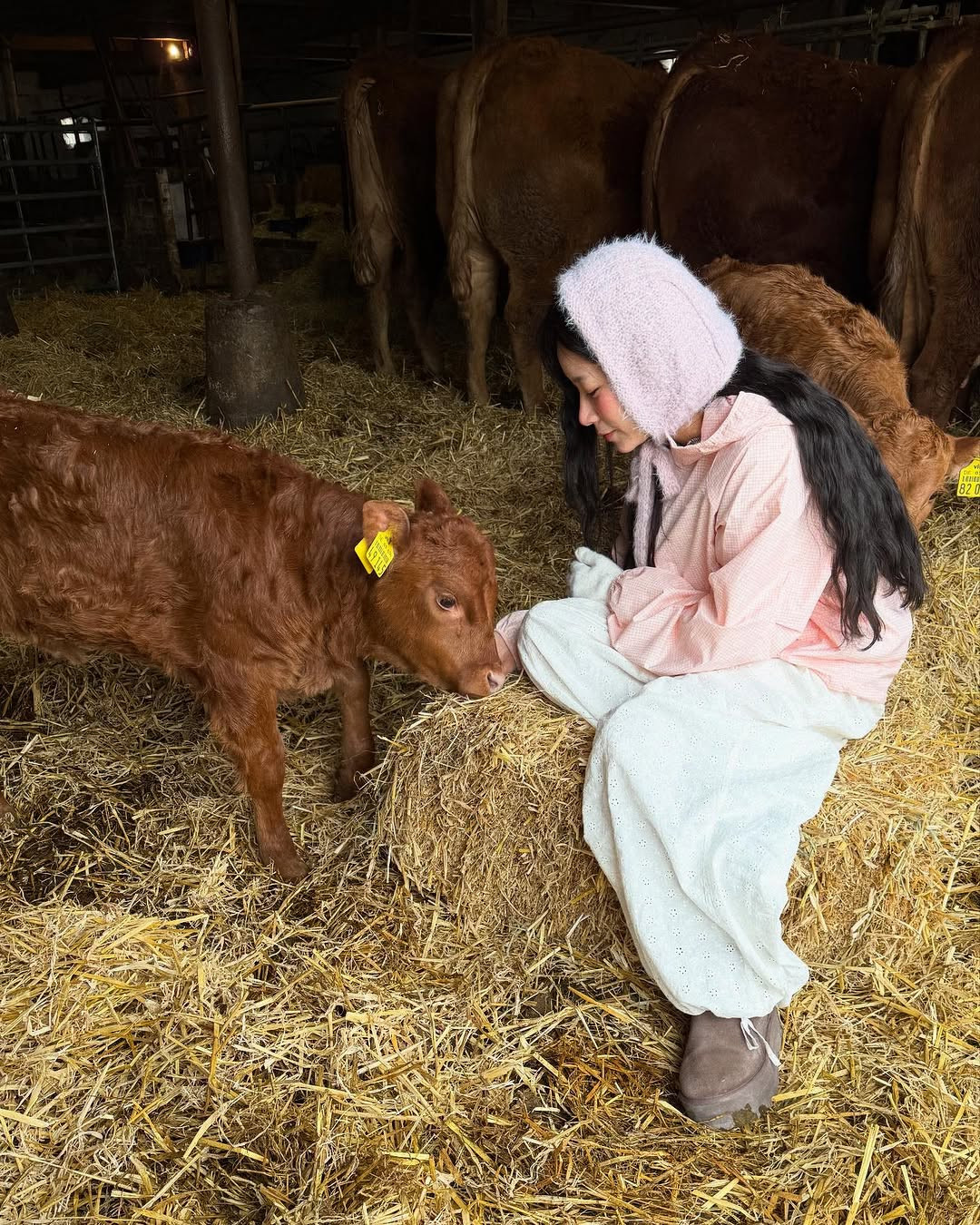 Với set đồ mang sắc pastel nhẹ nhàng, mái tóc xoăn sóng bồng bềnh và lối trang điểm trong trẻo nhấn nhá ở phần má hồng, Thạch Trang như nhân vật truyện tranh đáng yêu, ngọt ngào.