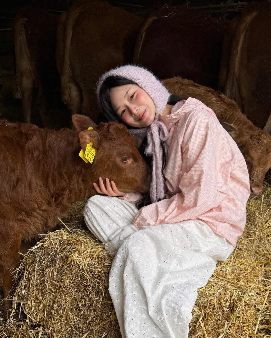 Chẳng cần những chiêu trò câu view, chẳng cần những bức ảnh khoe dáng hay ăn mặc mát mẻ, những cập nhật trên mạng xã hội của Thạch Trang vẫn hút hàng chục, thậm chí hàng trăm nghìn lượt yêu thích. Cô nàng gây ấn tượng với ngoại hình xinh xắn cùng nguồn năng lượng tích cực.