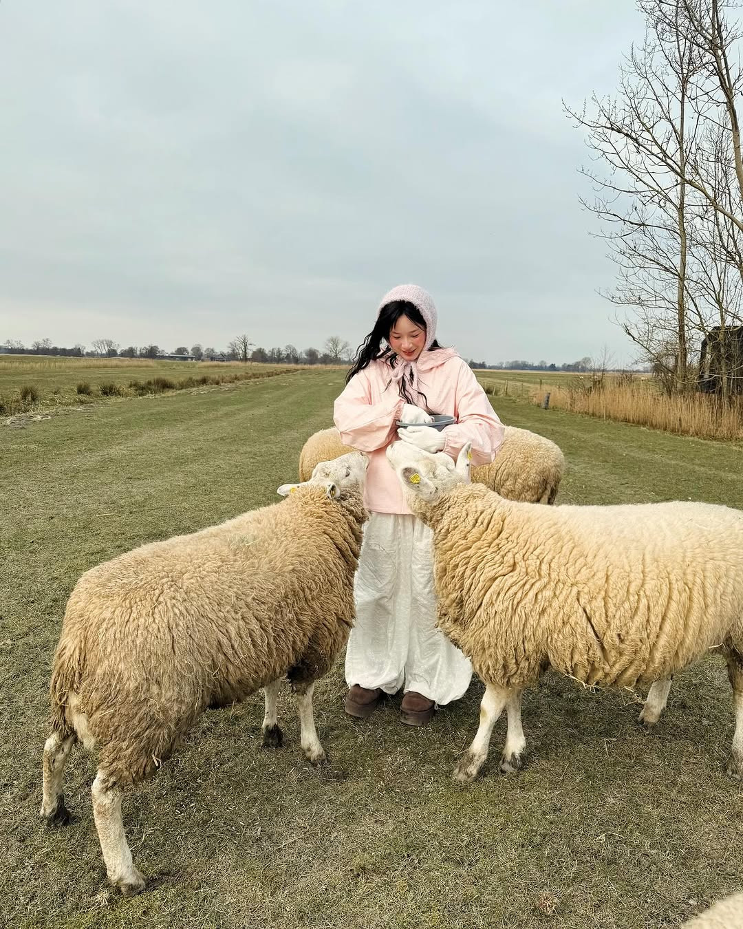 Mới đây trên trang cá nhân, Thạch Trang vừa đăng tải loạt ảnh hóa thân thành cô gái chăn cừu ở nông trại, hút hơn 33.000 lượt yêu thích.