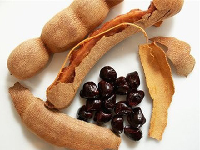 Hạt me lại có giá trị chữa ho ít ai biết đến.