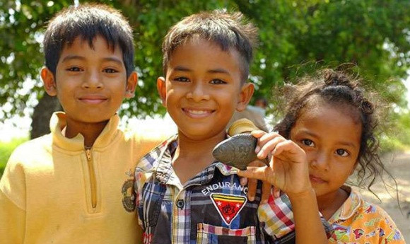 Con cá sắt độc đáo Christopher Charles phát minh ra đương nhiên làm hoàn toàn từ sắt. Người dùng chỉ cần cho cá sắt vào nấu cùng canh trong khoảng 10 phút là con cá hoàn thành nhiệm vụ trong bữa ăn. Theo ước tính, chỉ cần 1 lần nấu như vậy, con cá sắt có thể đáp ứng khoảng 75% lượng sắt người trưởng thành cần trong 1 ngày. Sau khi nấu xong, con cá được vớt ra, rửa sạch và dùng cho lần tiếp theo.