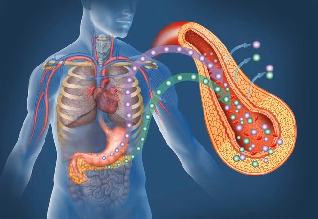 10 dieu ky dieu xay ra voi co the khi ban di bo moi ngay-Hinh-5