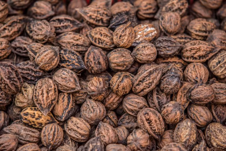 Cung cấp thêm các loại hạnh nhân giúp bạn cung cấp những chất dinh dưỡng cần thiết cho cơ thể. Ngoài ra còn có tác dụng giải độc, mọi người có thể sử dụng chúng vào trong các món salad hoặc dùng dầu để làm thành các món ăn ngon.