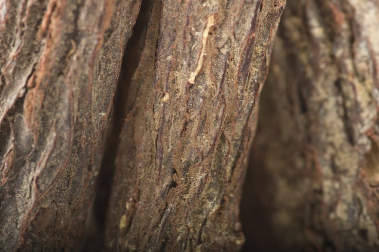 Cam thảo có lợi trong một phương thức giải độc để phục hồi và chống viêm mạnh. Khi bạn sử dụng kẹo hay trà cam thảo đều thấy được hương vị cay của tinh dầu này.