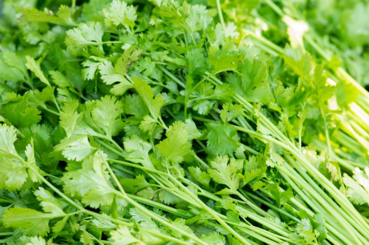 Rau mùi (ngò) không chỉ để trang trí cho món ăn thêm hấp dẫn mà còn có thể giúp bạn giải độc.