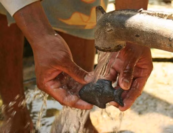  Con cá sắt này không chỉ cho phép người dùng có đủ lượng sắt mà thậm chí có thể sử dụng rất nhiều lần. Đây là một biện pháp hữu ích cho những người nghèo và lạc hậu.