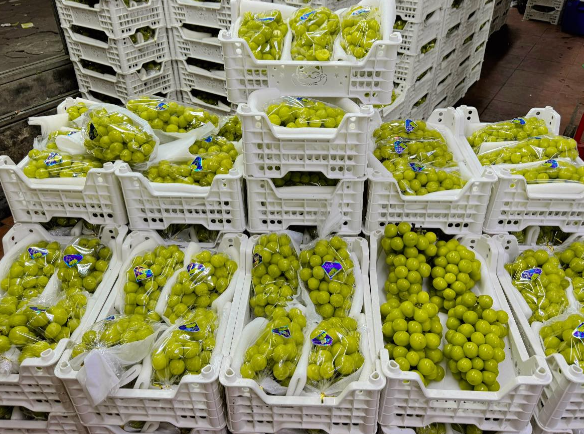 Nho sua Trung Quoc rao ban la liet tren thi truong gia re beo