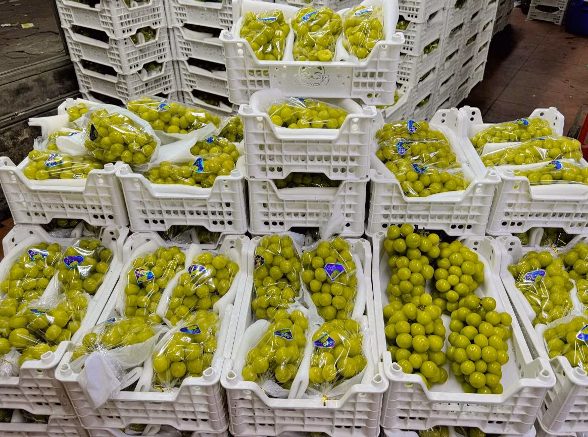 Nho sua Trung Quoc rao ban la liet tren thi truong gia re beo