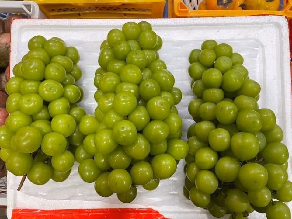 Nho sua Trung Quoc rao ban la liet tren thi truong gia re beo-Hinh-2