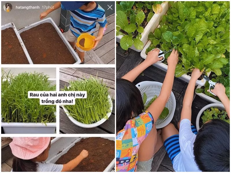 Dù sinh ra đã "ngậm thìa vàng", các con Hà Tăng vẫn có cuộc sống bình dị như bao đứa trẻ khác.