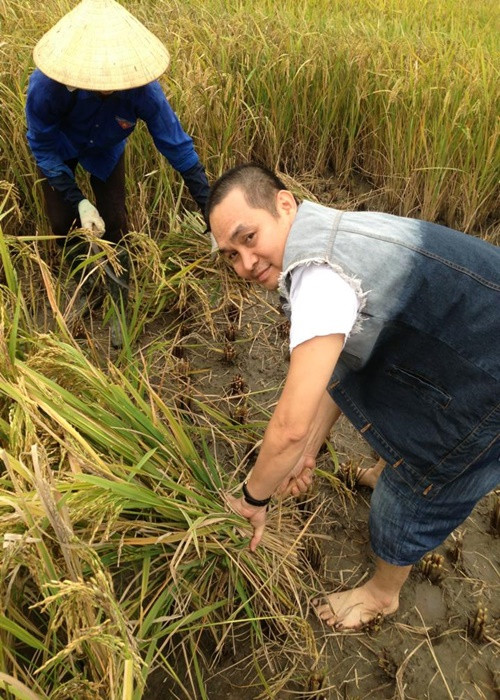 Xuân Hinh cắt lúa giúp người nông dân trong một chuyến đi. Ảnh: FBNV