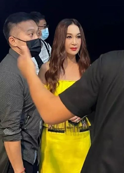 Ôn Bích Hà lộ nhan sắc thật với gương mặt kém tự nhiên, có phần chảy xệ. Ảnh: Vietnamnet