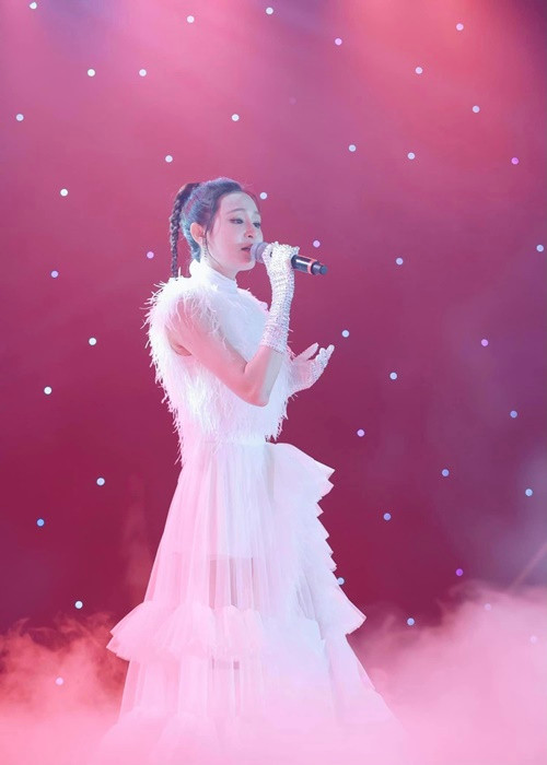 Bất chấp những ý kiến trái chiều, Hiền Hồ vẫn miệt mài chạy show. Ảnh: FBNV