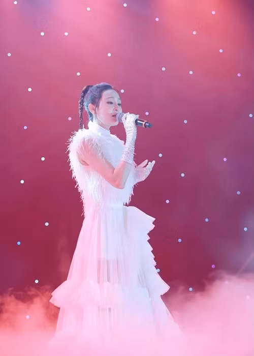 Bất chấp những ý kiến trái chiều, Hiền Hồ vẫn miệt mài chạy show. Ảnh: FBNV