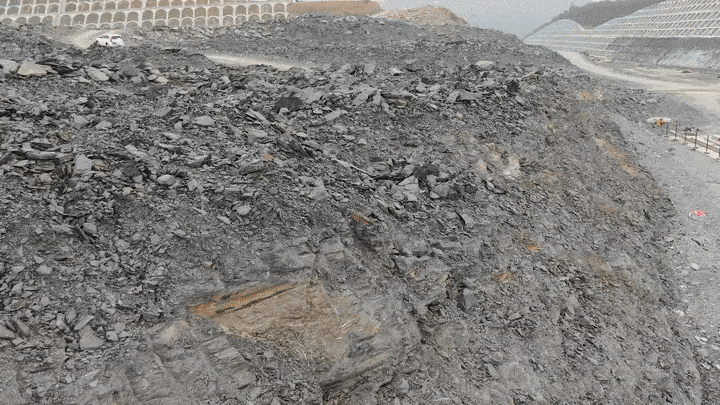 Các hóa thạch được phát hiện bao gồm E. glabrata, Iso Spinalis, Naroza, Acromium và Glossus, tạo nên một bức tranh về cuộc sống hàng triệu năm trước.