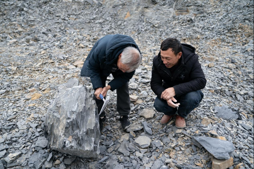 Chính phủ và các cơ quan liên quan đã ngăn chặn việc thi công và xử lý khu vực này một cách cẩn thận.