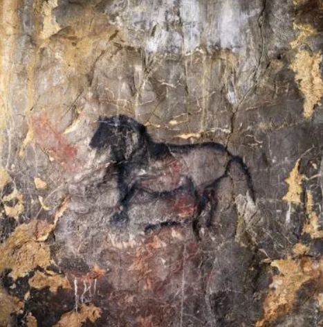 Trong hang, họ tìm thấy 9 mẩu xương ngón chân sư tử hang động hóa thạch, với dấu hiệu của công cụ đá.