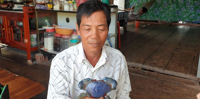 Ông Đức, người đã có hơn 20 năm sống bằng nghề đặt lú, cho biết đây là lần đầu tiên ông gặp phải một con cua biển có màu sắc khác thường như vậy. Con cua này có màu xanh tím, là con đực, nặng gần 300 gram. Thay vì bán cho thương lái, ông quyết định để lại con cua này cho những người có nhu cầu sưu tầm đồ quý hiếm.