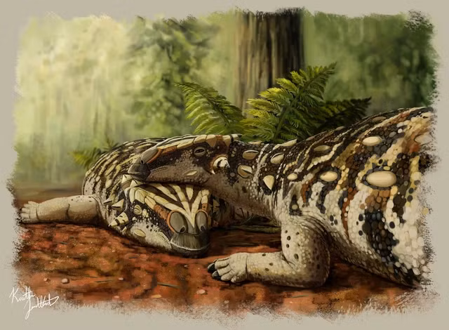  Quái thú này được đặt tên là Datai yingliangis, là một thành viên cỡ lớn của dòng họ Ankylosauria, nhóm khủng long bọc thép đa dạng về hình thù.