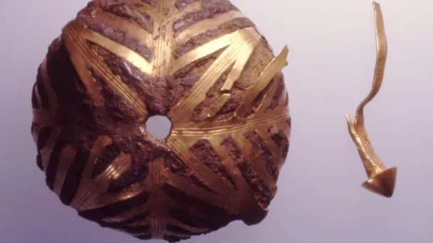 Các phân tích cho thấy hai món đồ - một vật thể hình bán cầu và một chiếc vòng tay - bị gỉ sét, không phải vàng, mà là sắt.