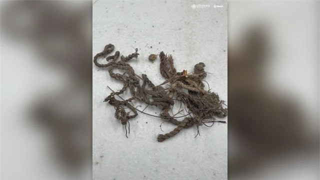 Bên cạnh hài cốt con người, các nhà nghiên cứu còn phát hiện các tàn tích của giỏ, hàng dệt và sợi, gợi ý rằng người chết có thể đã được chôn cất trong những bó làm từ những vật liệu này ở bang Nuevo León của Mexico ngày nay. Hài cốt được tìm thấy từng mảnh cho thấy có thể họ đã bị phân xác theo nghi thức, nhưng phân tích chi tiết vẫn chưa được tiến hành.