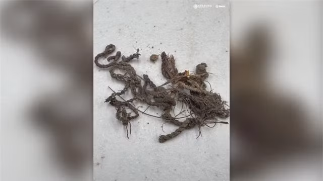 Bên cạnh hài cốt con người, các nhà nghiên cứu còn phát hiện các tàn tích của giỏ, hàng dệt và sợi, gợi ý rằng người chết có thể đã được chôn cất trong những bó làm từ những vật liệu này ở bang Nuevo León của Mexico ngày nay. Hài cốt được tìm thấy từng mảnh cho thấy có thể họ đã bị phân xác theo nghi thức, nhưng phân tích chi tiết vẫn chưa được tiến hành.