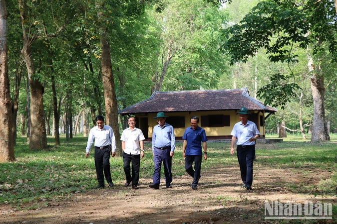 Vườn cao-su 100 tuổi ở Nông trường cao-su Dầu Giây đã được công nhận di tích lịch sử cấp tỉnh.