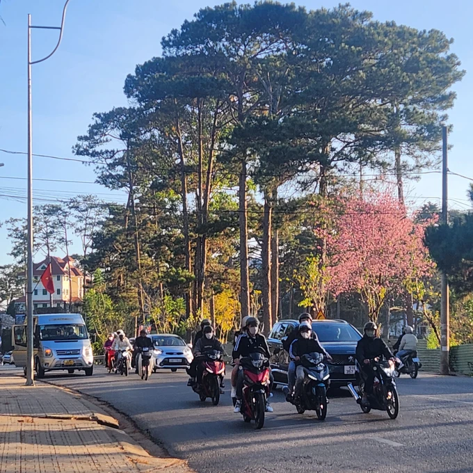 Góc ảnh đẹp trên đường Hùng Vương