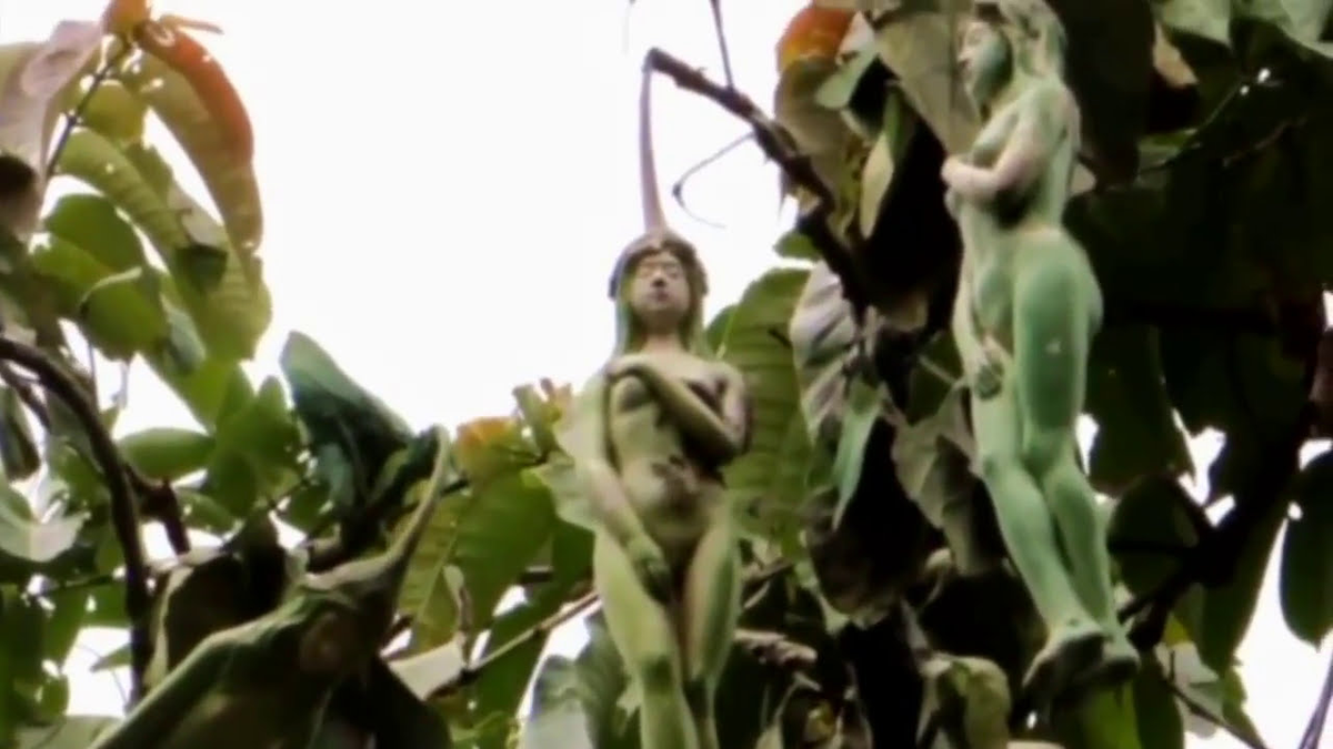 Tuy nhiên, sau khi được phân tích, các nhà khoa học chỉ ra rằng trái nariphon có thể được tạo ra từ khuôn và thường được phơi khô hoặc sấy trước khi chạm khắc, không phải là loài cây tự nhiên.