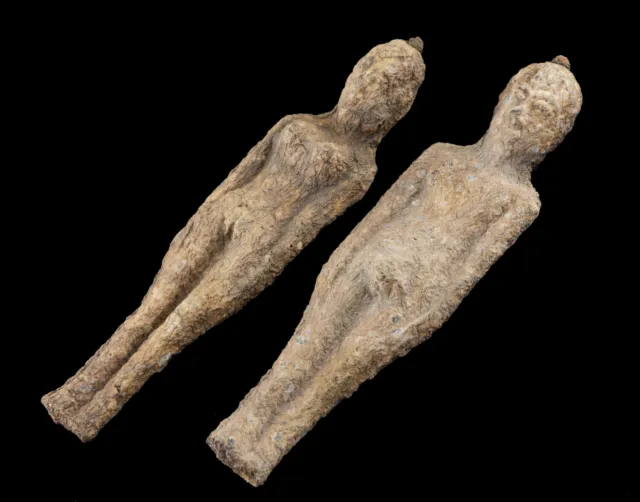 Câu chuyện về cây nariphon không mới mẻ, xuất phát từ khoảng năm 2008 khi một cặp hài cốt khô được công bố là nariphon tại Thái Lan.