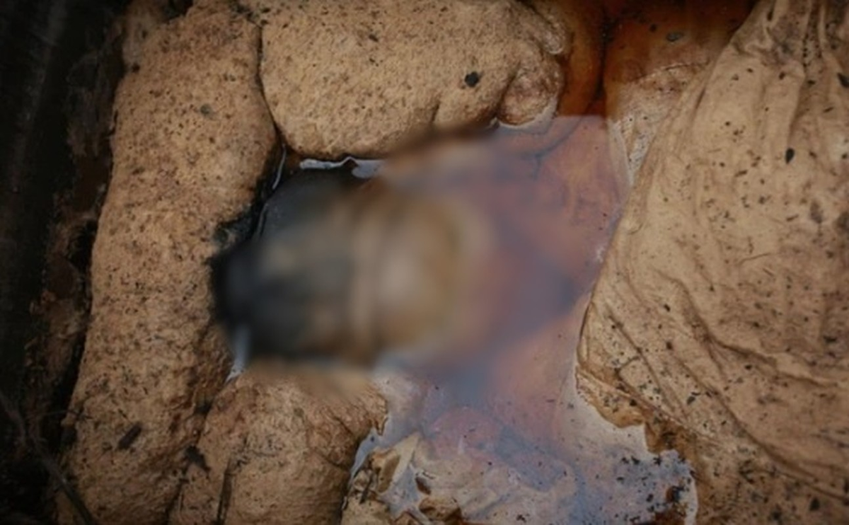 Bà có thể đã qua đời vào khoảng 60 tuổi và được bảo quản tốt dưới nước biển, được ngâm và phủ bùn trắng.