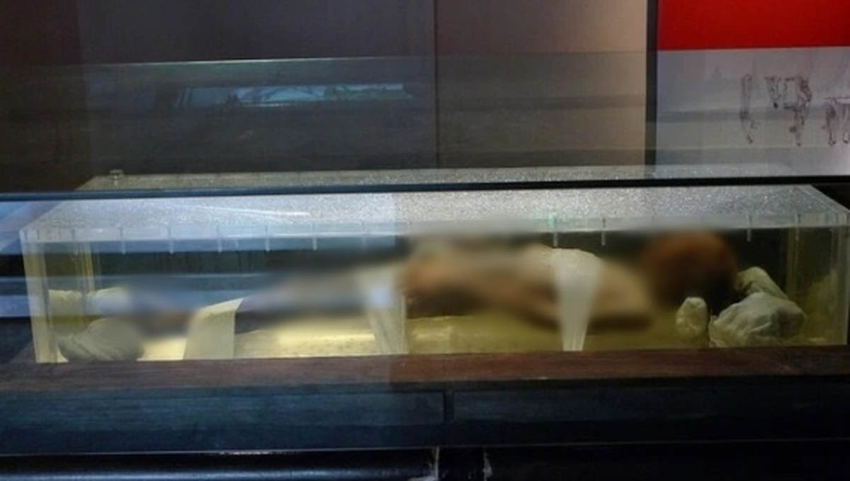 Đây là trường hợp chưa từng thấy trong lịch sử khảo cổ học.