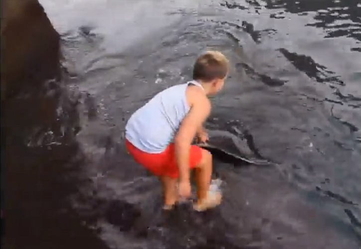 Câu chuyện kết thúc với sự chia tay giữa George và Franky, khi con cá đuối bơi ra biển để tiếp tục cuộc sống của mình. Điều đặc biệt là George và Franky dường như đã phát triển một mối quan hệ đặc biệt, và việc chia tay đã gây ra cảm xúc cho cả hai.