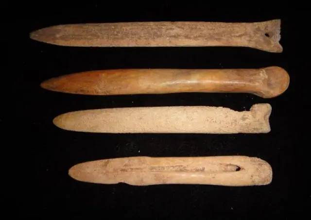 Ân Tư Nghĩa mời sinh viên về nhà kiểm định và cuối cùng các chuyên gia khảo cổ đã xác nhận rằng đó là một chiếc bình cổ thuộc nền văn hóa Ngưỡng Thiều, đã tồn tại hơn 6.000 năm.