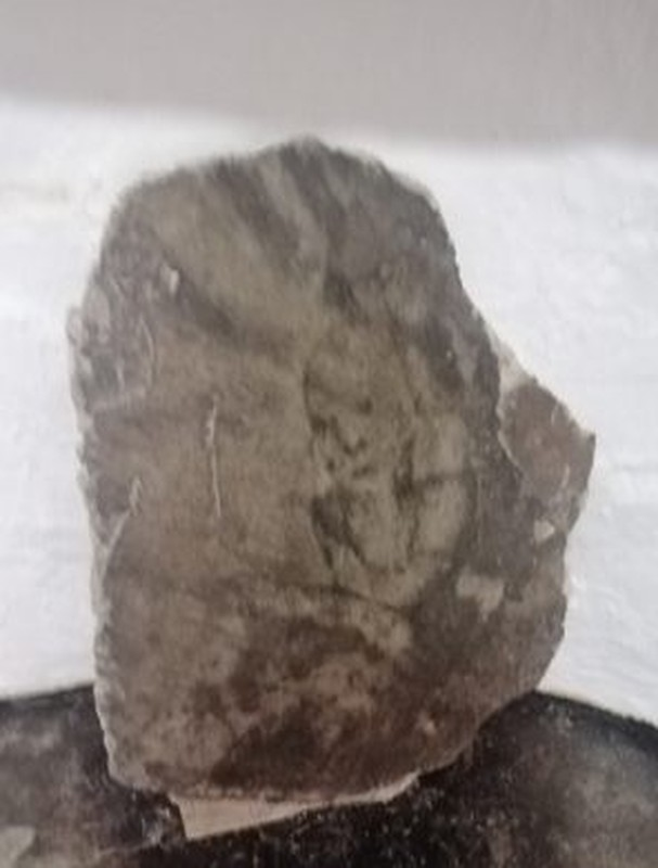 Các nhà khoa học đã thực hiện nhiều nghiên cứu nhưng không có kết luận chính xác về nguyên nhân của hiện tượng này.