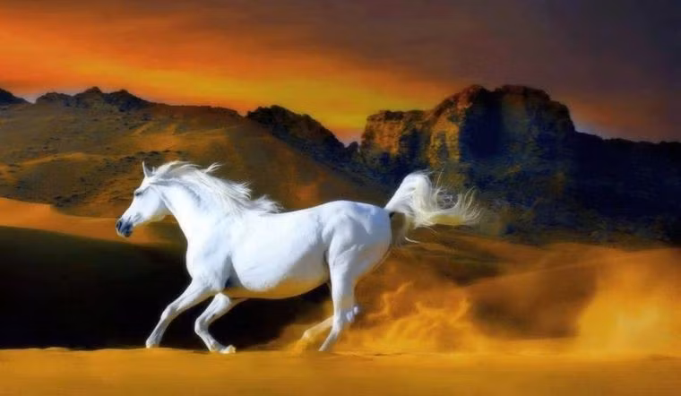 Trong tháng Giêng, người tuổi Ngọ thường gặp nhiều may mắn trong kinh doanh, tài chính tăng trưởng nhanh chóng. Mọi khoản đầu tư của bản mệnh đều mang lại kết quả tốt đẹp. Không chỉ về mặt tài chính, bản mệnh còn mở rộng mạng lưới quan hệ kinh doanh vững chắc và luôn có những người hỗ trợ đáng tin cậy bên cạnh. Đây là thời kỳ thịnh vượng, sự giàu có và may mắn tài lộc của bản mệnh ngày càng tăng. 