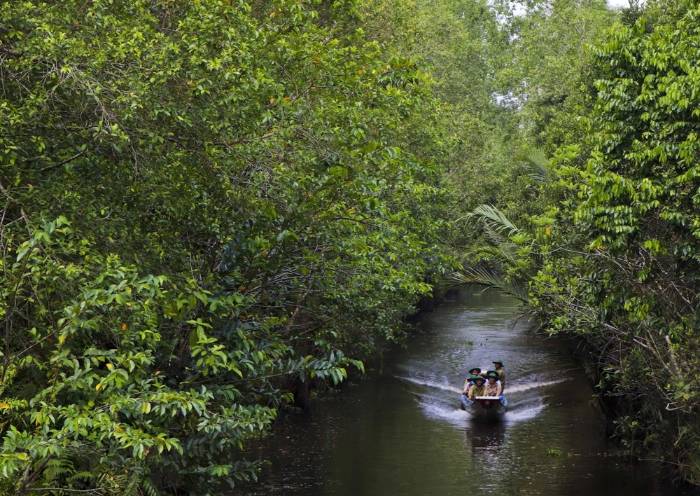 Nơi đây là một vùng trũng điển hình của miền Nam sông Hậu, với hệ sinh thái đặc trưng và đa dạng các loài động, thực vật bản địa.