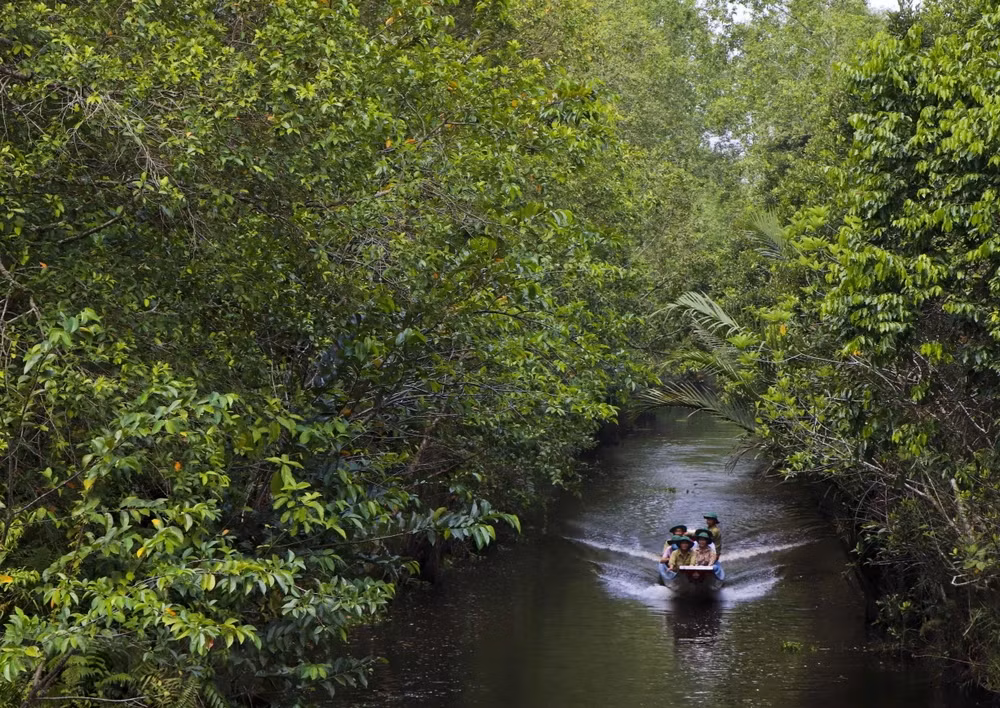 Nơi đây là một vùng trũng điển hình của miền Nam sông Hậu, với hệ sinh thái đặc trưng và đa dạng các loài động, thực vật bản địa.