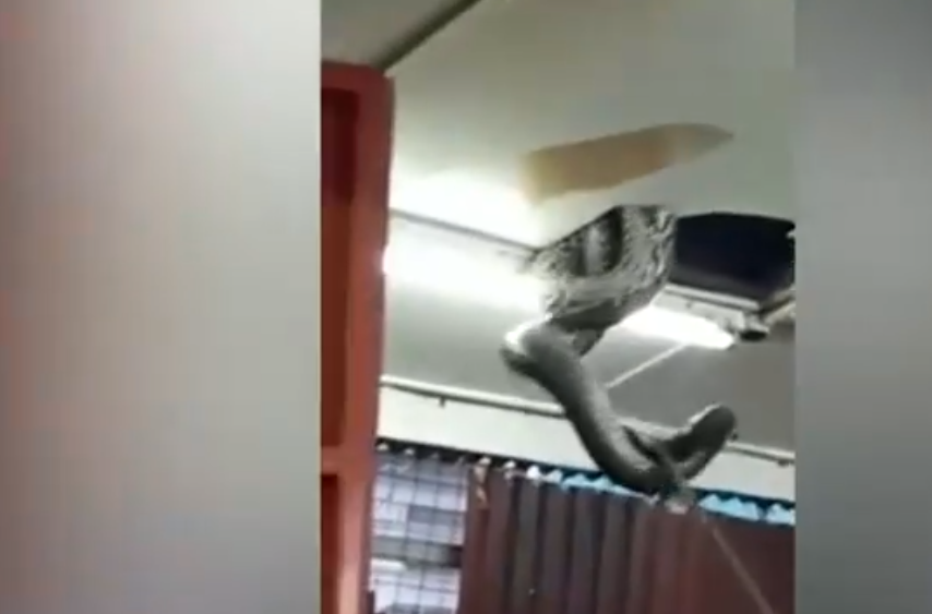 Dù không rõ đoạn video được quay tại đâu, nhưng dựa vào tiếng Quảng Đông nghe thấy trong clip, nhiều người nghĩ rằng đó có thể là một nhà hàng ở Hong Kong (Trung Quốc).