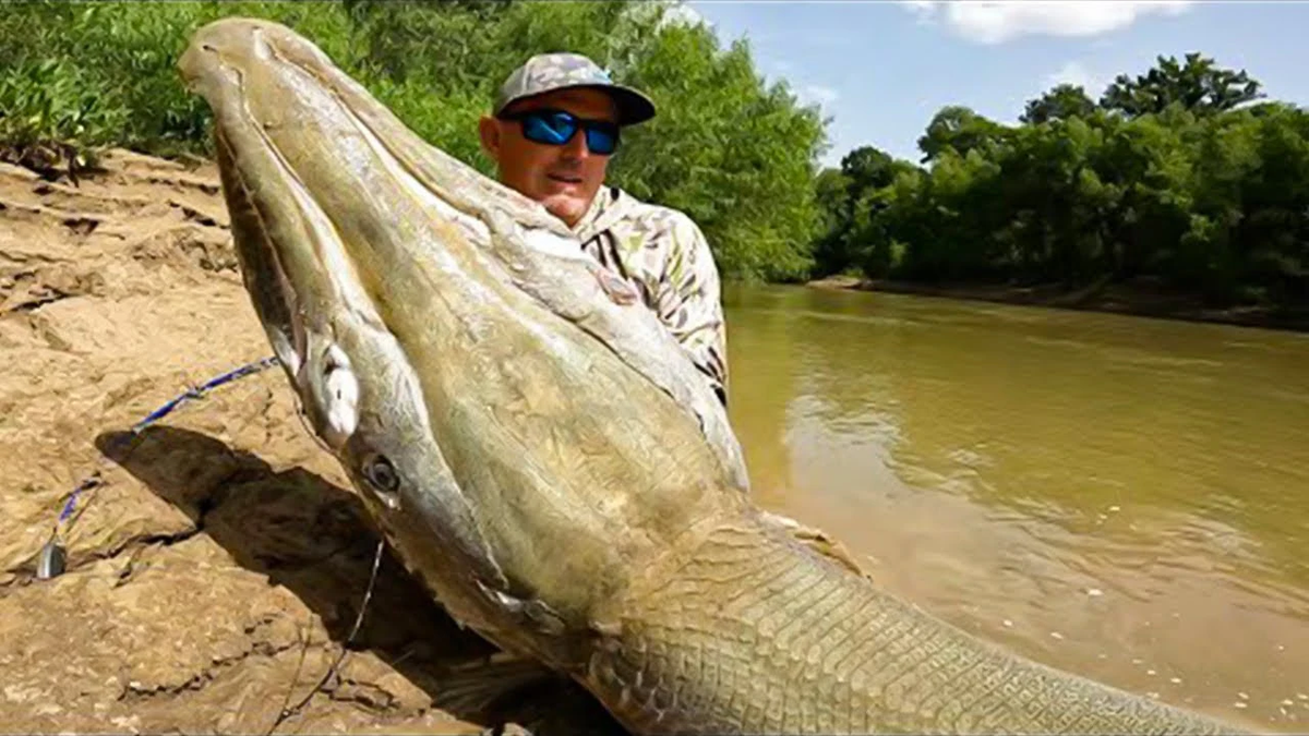 Tuy nhiên, các nghiên cứu và thám hiểm sâu vào Amazon không tìm thấy bằng chứng thuyết phục nào về sự tồn tại của những thủy quái khổng lồ. Một số nhà khoa học cho rằng những truyền thuyết này có thể chỉ là hiện tượng tưởng tượng của con người và không có thật.