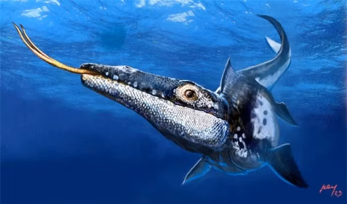 Nghiên cứu do nhà cổ sinh vật học Herto Rivea-Sylva từ Bảo tàng Sa mạc (Mexico) dẫn đầu, và quái vật biển mới này thuộc dòng họ thương long, nhóm bò sát biển cỡ lớn sống cùng thời với khủng long.