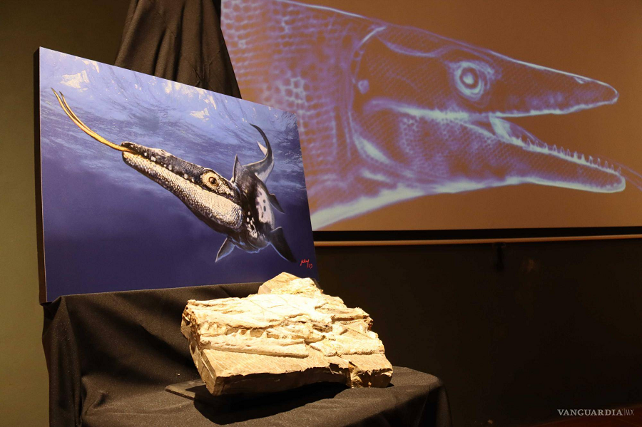 Sinh vật này là một phát hiện quan trọng vì đã trỗi dậy sau sự kiện tuyệt chủng trong kỷ Phấn Trắng, nhưng rất tiếc, như nhiều loài khủng long khác, nó đã tuyệt chủng sau sự kiện tiểu hành tinh khổng lồ Chicxulub đâm vào Trái Đất 66 triệu năm