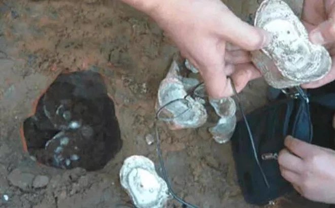 Năm 1996, Trần Phong, một thanh niên ở Mai Huyện, tỉnh Quảng Đông, Trung Quốc, đã có một phát hiện đáng kinh ngạc trong khi làm ruộng. Trong lúc cày đất, anh phát hiện ra ba thỏi bạc lớn.