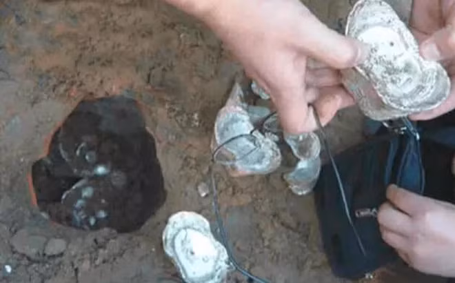 Năm 1996, Trần Phong, một thanh niên ở Mai Huyện, tỉnh Quảng Đông, Trung Quốc, đã có một phát hiện đáng kinh ngạc trong khi làm ruộng. Trong lúc cày đất, anh phát hiện ra ba thỏi bạc lớn.